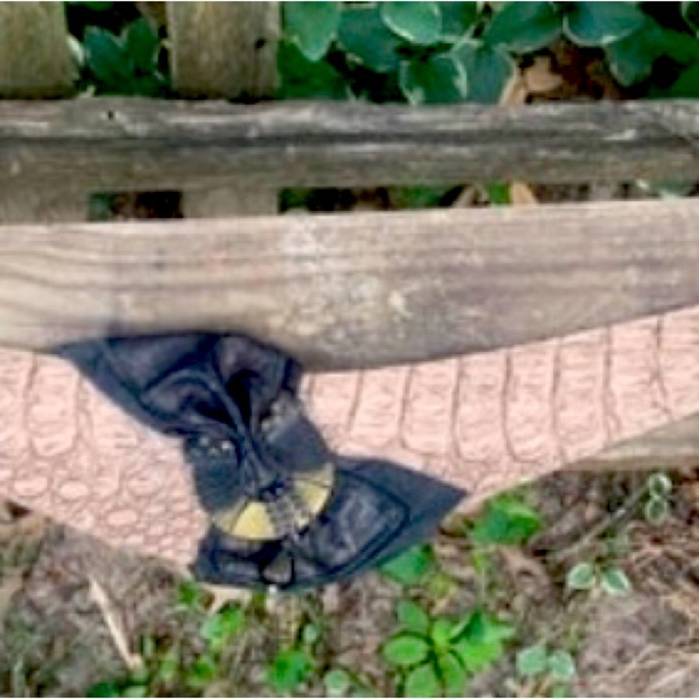 Statement Belt Leather Crocodile Made in Korea